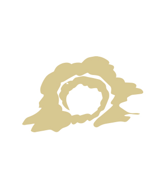 About Image